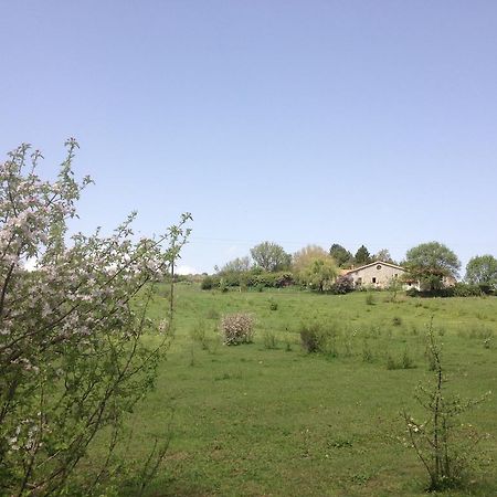 Les Gites D'Eliane Laragne ภายนอก รูปภาพ