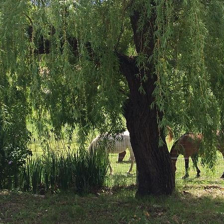 Les Gites D'Eliane Laragne ภายนอก รูปภาพ