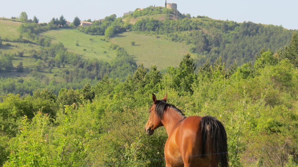 Les Gites D'Eliane Laragne ภายนอก รูปภาพ