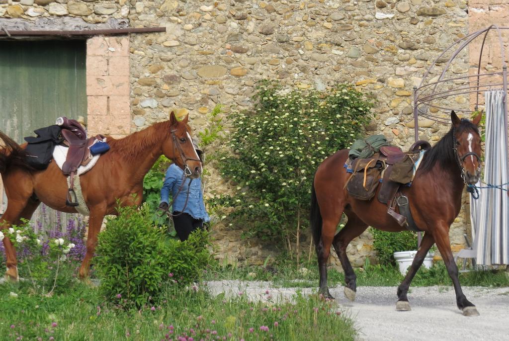 Les Gites D'Eliane Laragne ภายนอก รูปภาพ